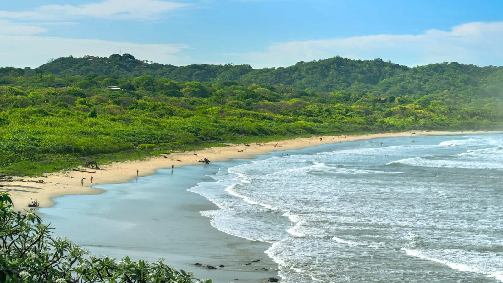 The long curving beach and forested hills at Nosara